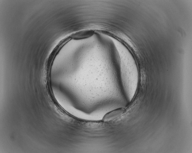 X0000112071116200908251037