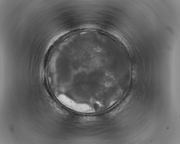 X0000112071117200908251037