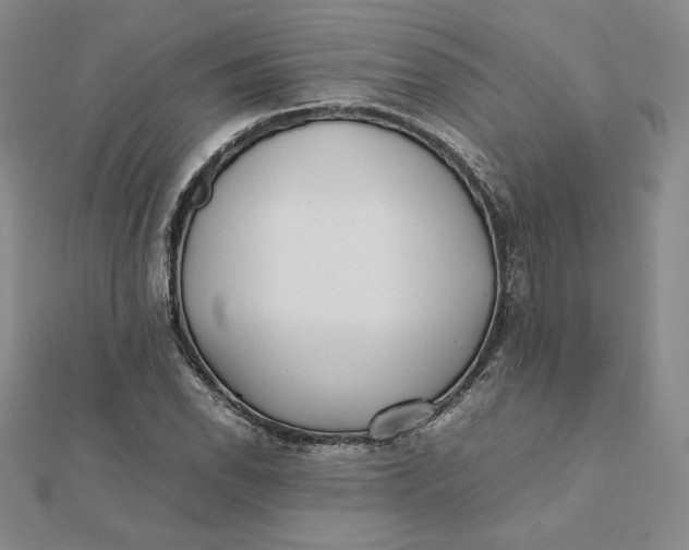 X0000112071118200908251037