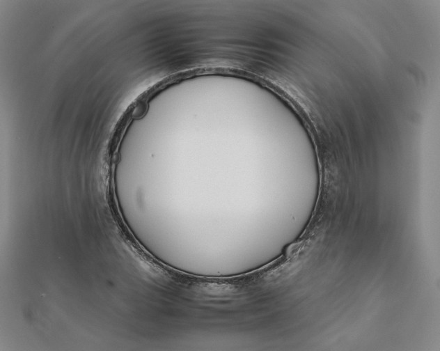 X0000112071119200908251037