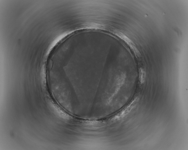 X0000112071120200908251037