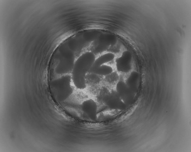 X0000112071121200908251037