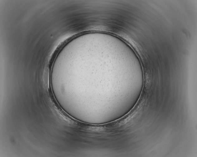 X0000112071123200908251037