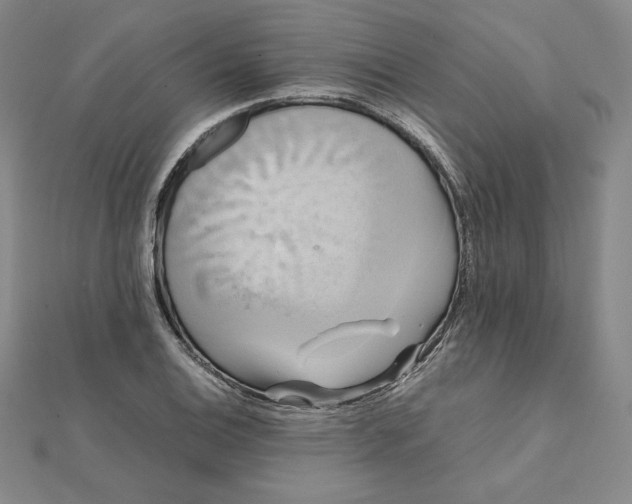 X0000112071124200908251037