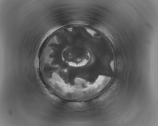 X0000112071125200908251037