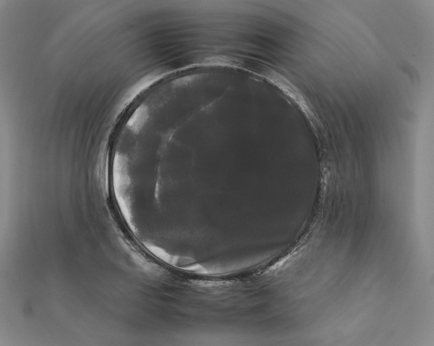 X0000112071127200908251037