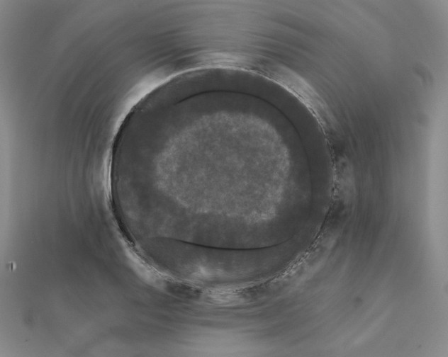 X0000112071128200908251037
