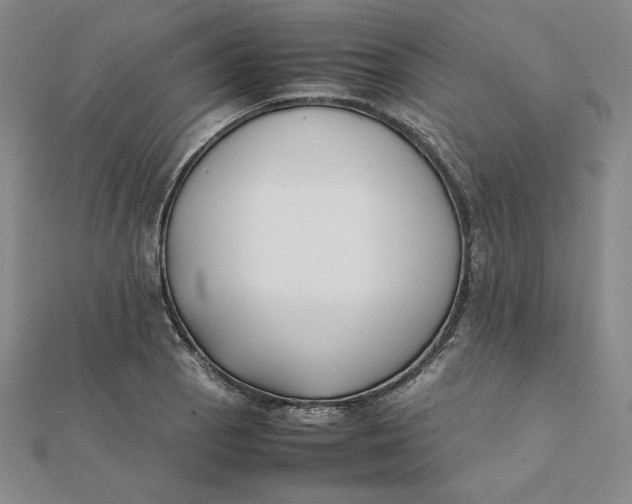 X0000112071129200908251037