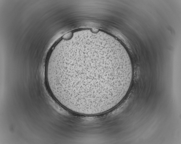 X0000112071130200908251037