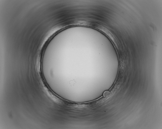 X0000112071131200908251037