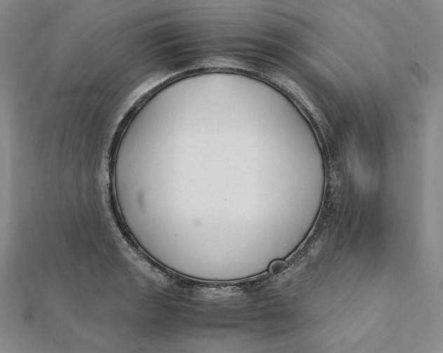 X0000112071133200908251037