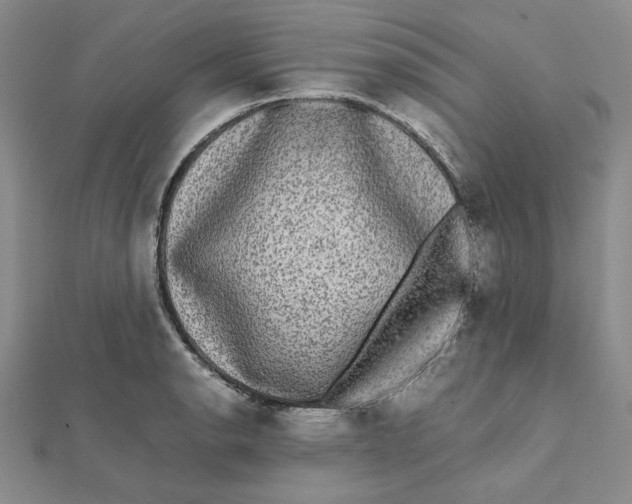 X0000112071134200908251037