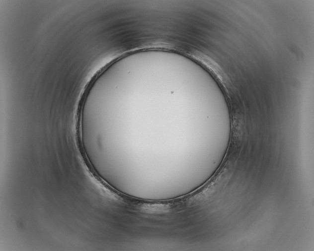 X0000112071135200908251037