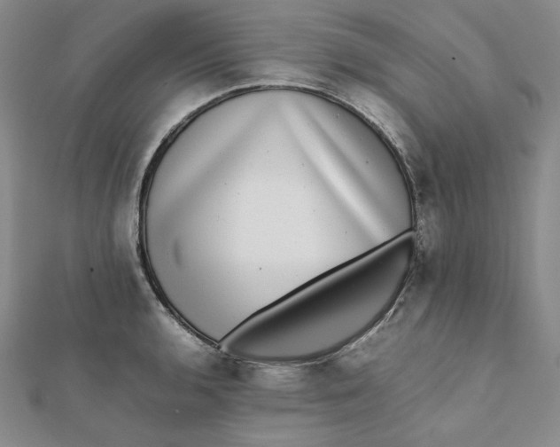 X0000112071136200908251037
