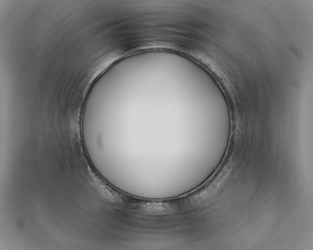 X0000112071137200908251037