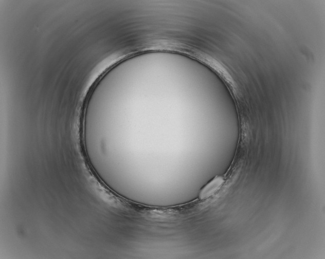 X0000112071138200908251037