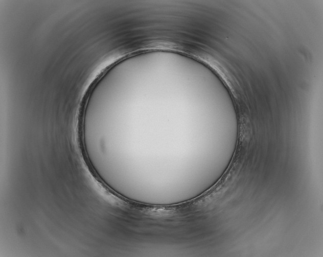 X0000112071139200908251037