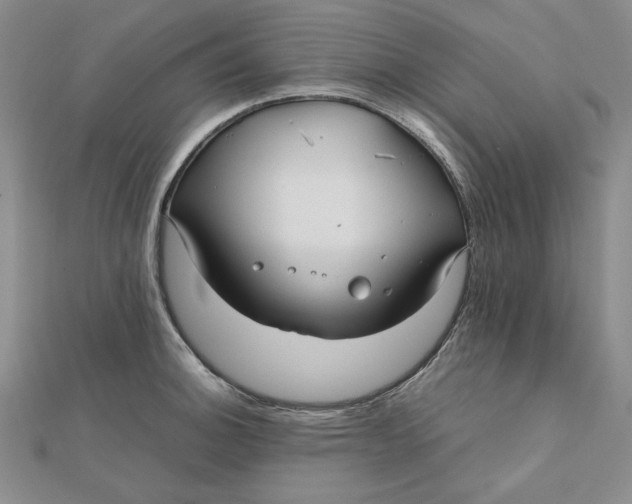 X0000112071140200908251037
