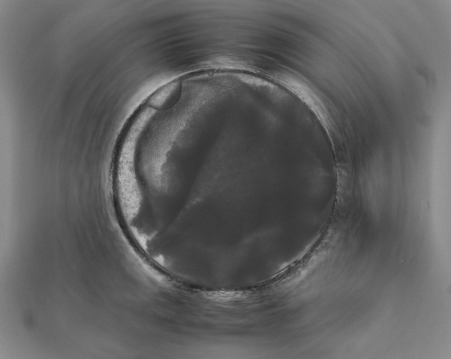 X0000112071141200908251037