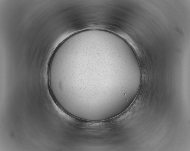 X0000112071143200908251037