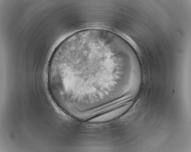 X0000112071144200908251037