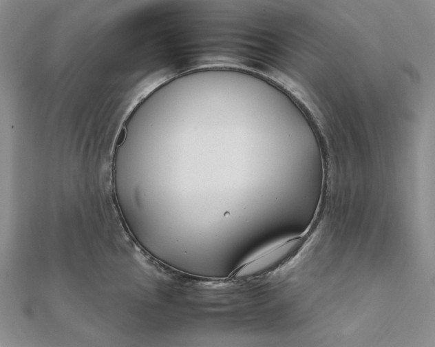 X0000112071145200908251037