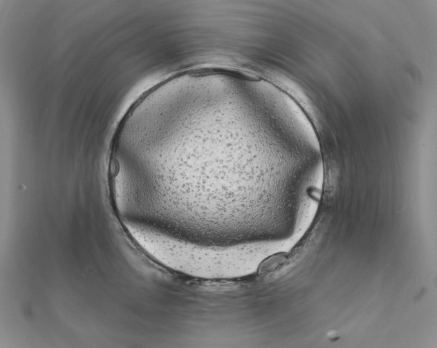 X0000112071146200908251037