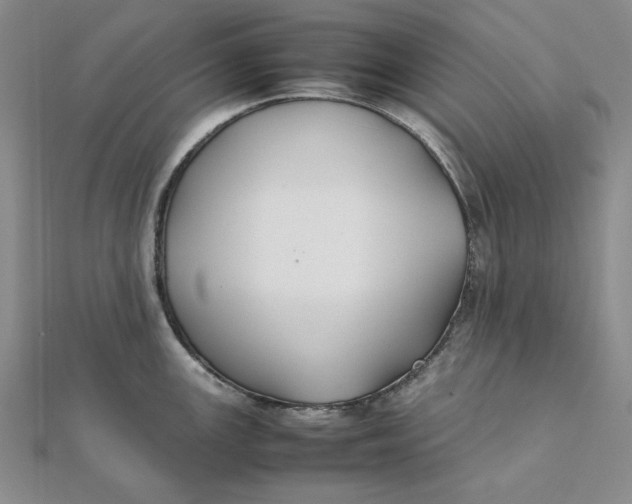 X0000112071147200908251037