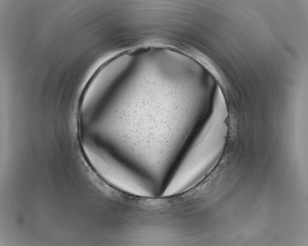 X0000112071148200908251037
