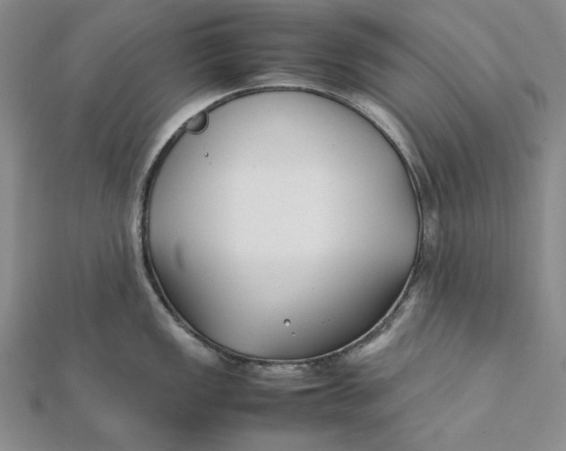X0000112071149200908251037