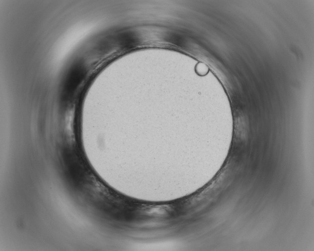 X0000112071150200908251037