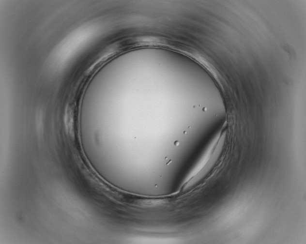 X0000112071151200908251037