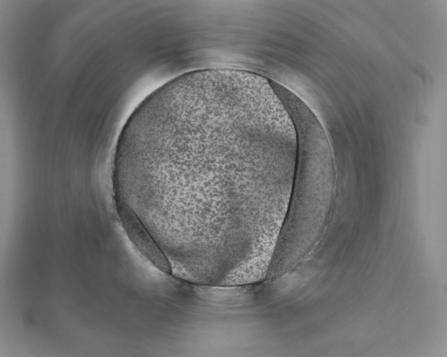 X0000112071152200908251037