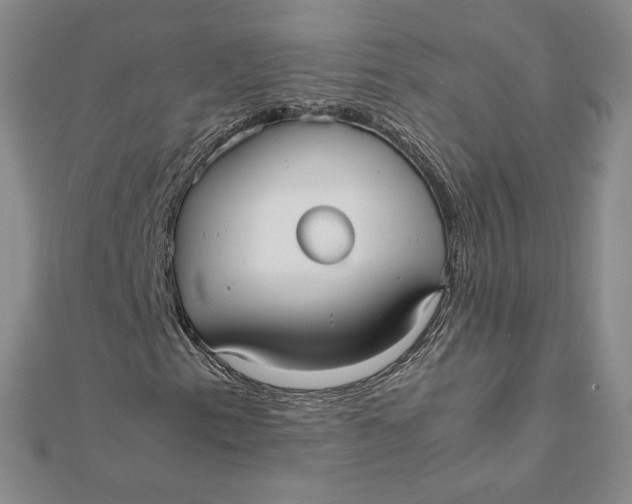 X0000112071153200908251036