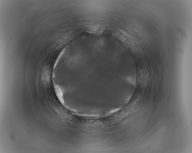 X0000112071154200908251036