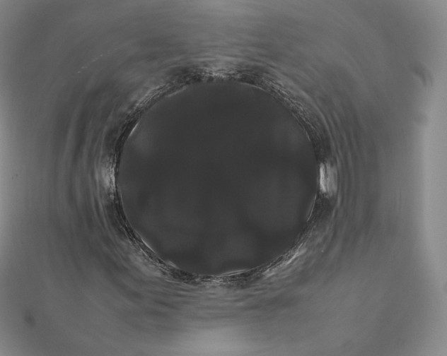 X0000112071155200908251036