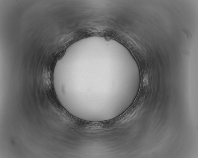 X0000112071156200908251036
