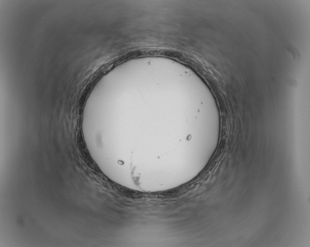 X0000112071157200908251036
