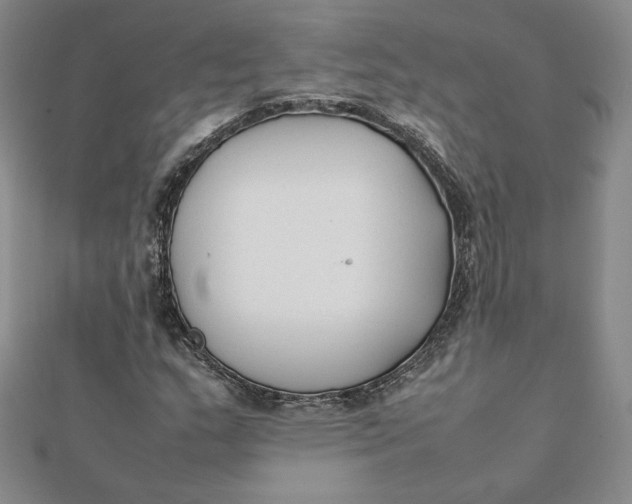 X0000112071159200908251036