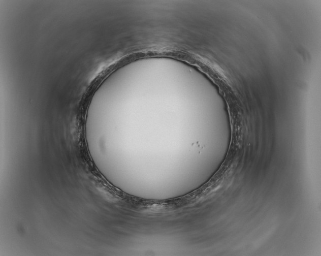 X0000112071160200908251036