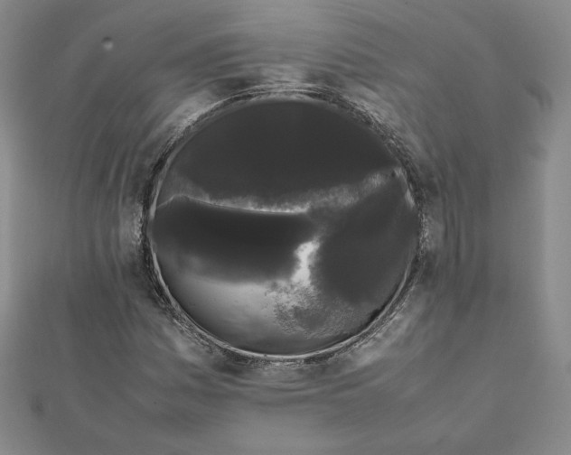 X0000112071161200908251036