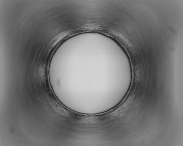 X0000112071162200908251036