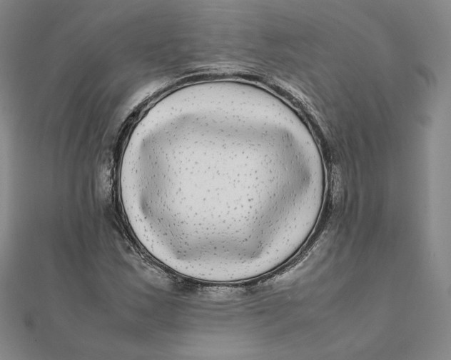X0000112071163200908251036