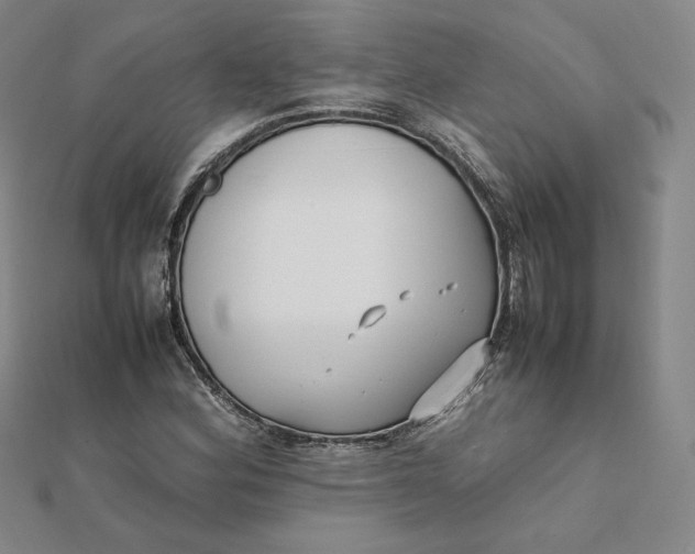 X0000112071164200908251036
