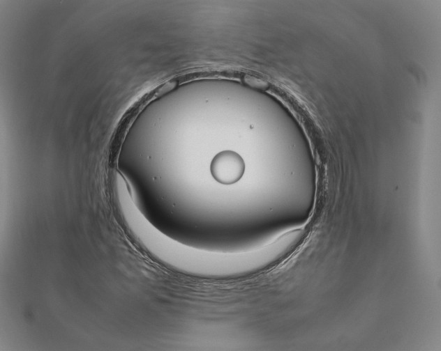 X0000112071165200908251036