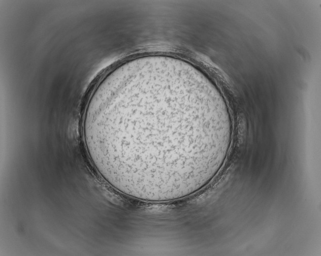 X0000112071166200908251036