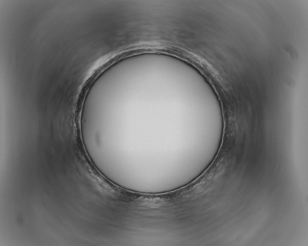 X0000112071168200908251036
