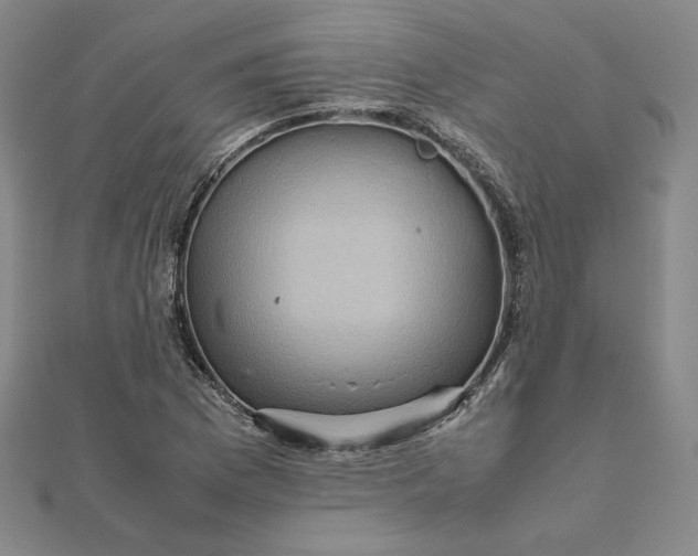X0000112071169200908251036
