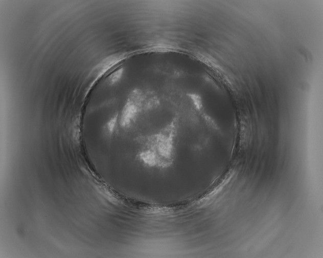 X0000112071170200908251036
