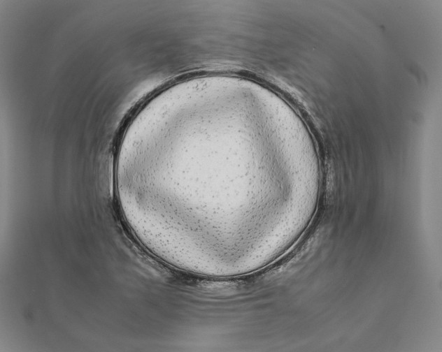 X0000112071171200908251036